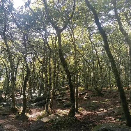 Сasa de vacaciones La Casita De Meiro