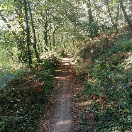 La Casita De Meiro * 부에우